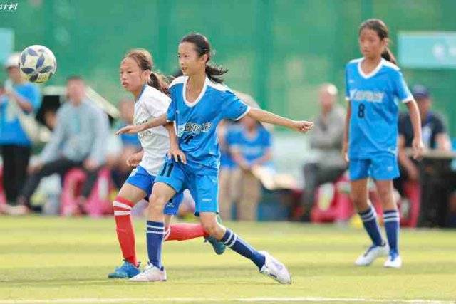 CBA常规赛：辽宁男篮主场战胜南京同曦继续冲击前八